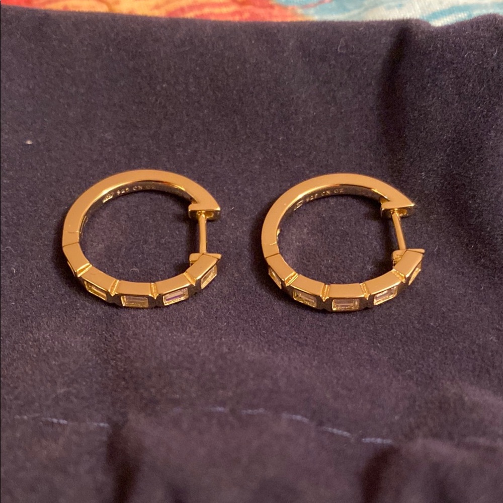 Gold Hoop Earrings